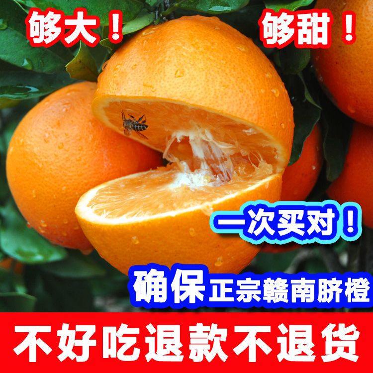 【好吃到爆】江西赣南脐橙寻乌甜橙子新鲜孕妇水果赣州手剥橙批发