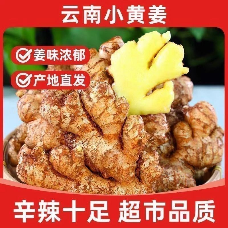 【正宗云南小黄姜生姜】今年新姜农家自种嫩姜高山高海拔整箱批发