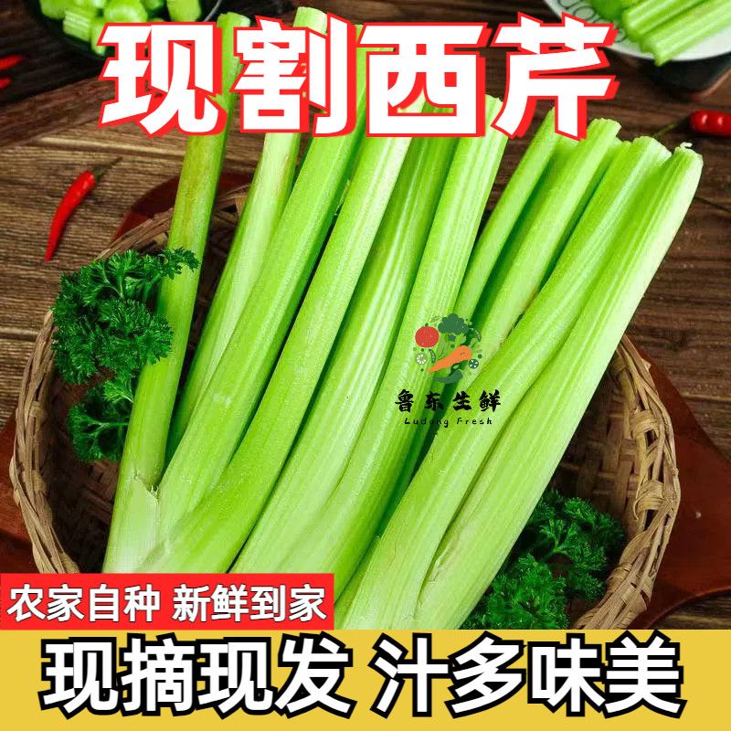 山东寿光西芹正宗自种新鲜水果脆嫩榨汁农家自种芹菜产地直发