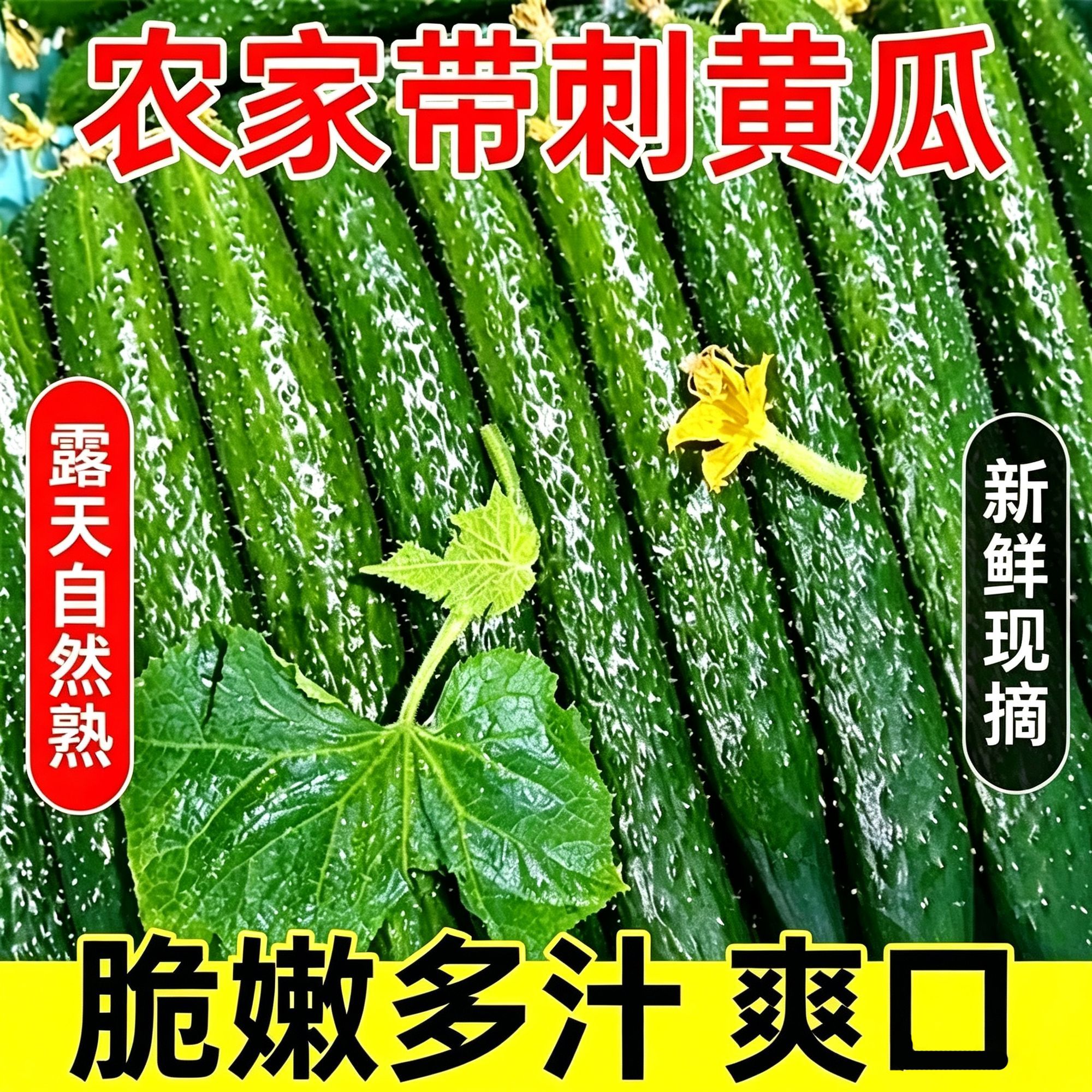 新鲜现摘刺黄瓜应季农家蔬菜生吃现摘批发特价水果净重5斤长黄瓜
