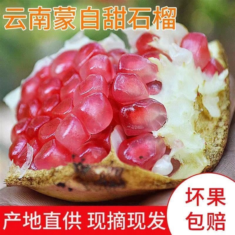 正宗新鲜云南蒙自甜石榴现摘水果甜石榴时令水果整箱包邮薄皮石榴