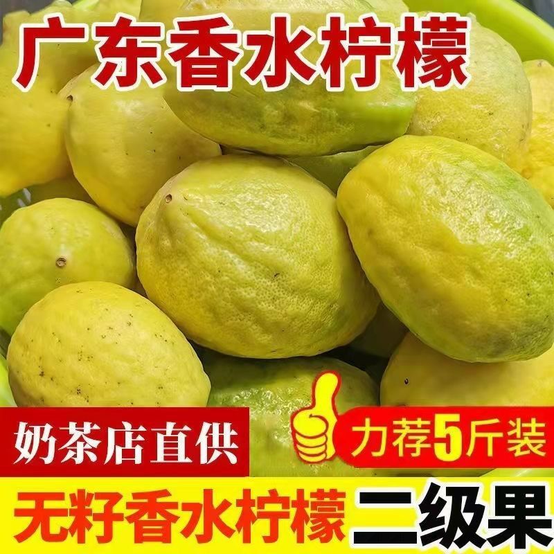 广东无籽香水柠檬二级黄果新鲜水果黄果5斤手打柠檬奶茶店浓香型