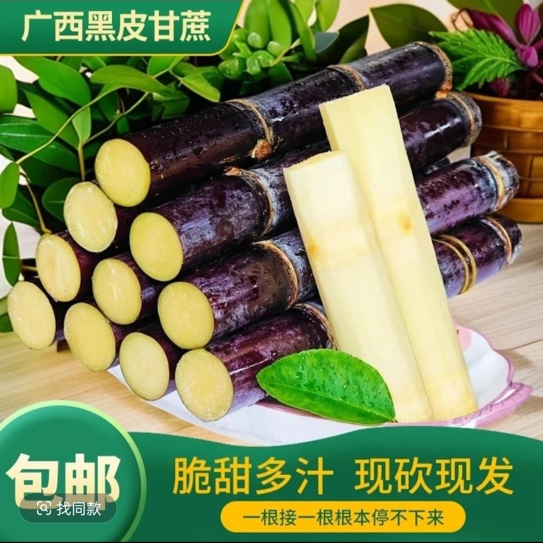 正宗广西黑皮甘蔗新鲜现砍脆甜中段孕妇专用当季紫皮包邮