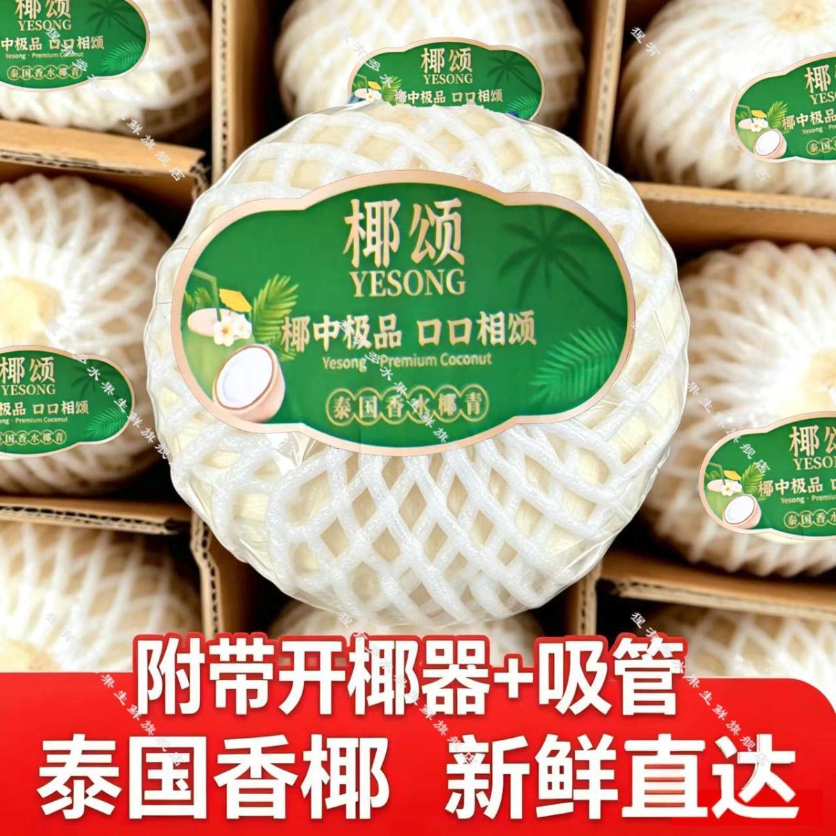 【2个中果】泰国椰青椰香四溢泰国进口椰大果整箱纯天然椰子去皮