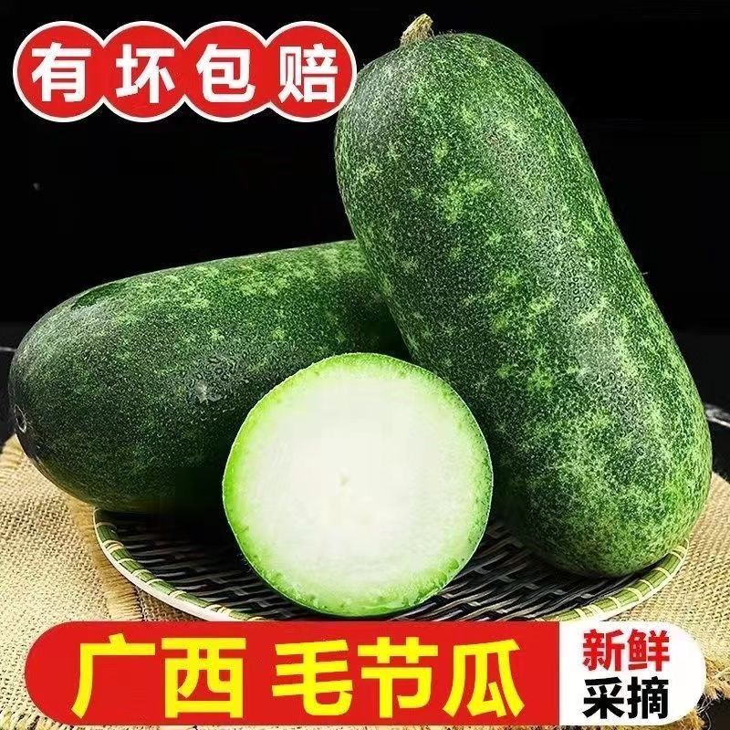 广西当季正宗小冬瓜01毛节瓜农家小冬瓜 节瓜毛瓜新鲜正宗小个