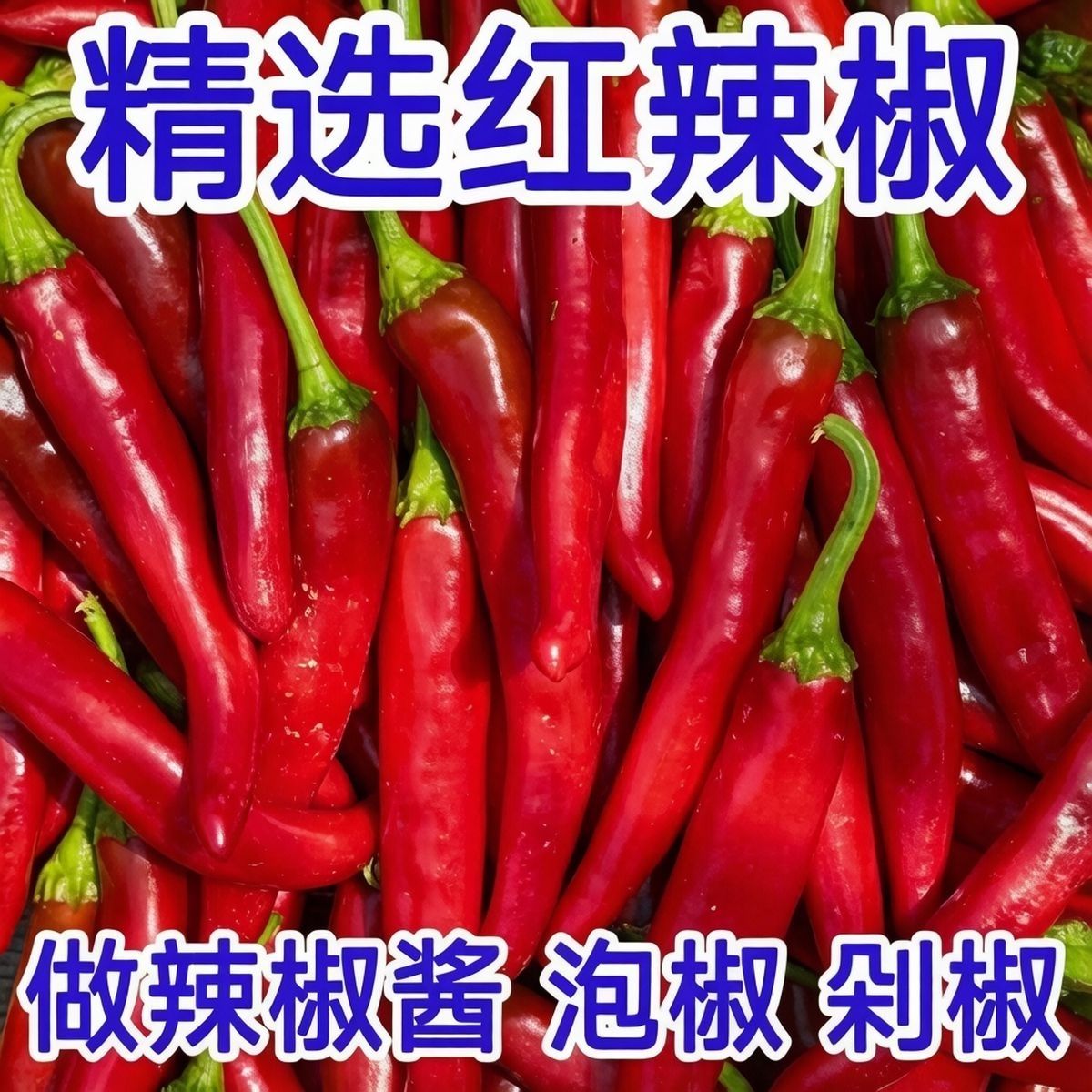 美人椒微辣红辣椒新鲜现发适合做辣椒酱泡椒鲜红农家产地批发#2