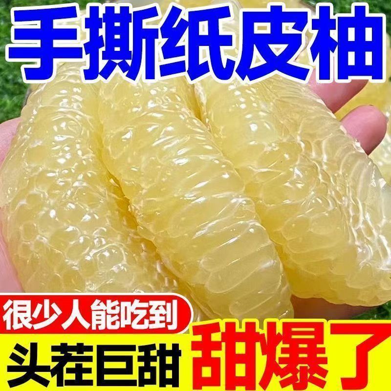 9斤彩箱福建平和白心蜜柚白肉柚子应季新鲜水果薄皮孕妇甜肉白柚