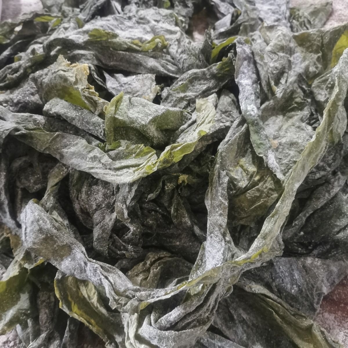 半干海带边散装批发烘干绿色海带边薄菜商用批发麻辣烫少盐火锅