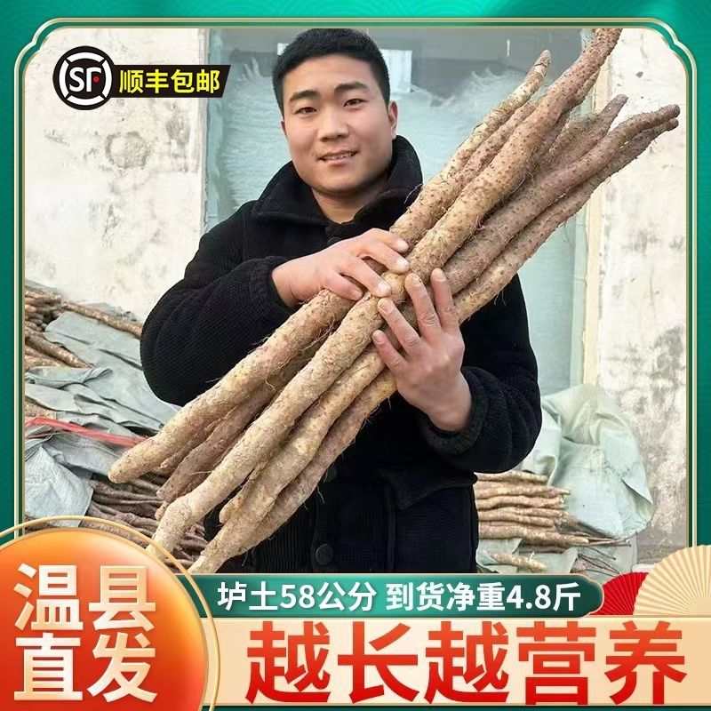【顺丰包邮】正宗河南温县垆土铁棍山药怀山药新鲜现挖特产4.8斤