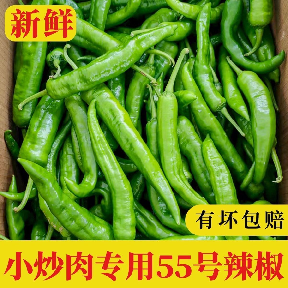 现摘】正宗湘研55辣椒青椒软皮香辣新鲜产地湘菜馆薄皮青专用