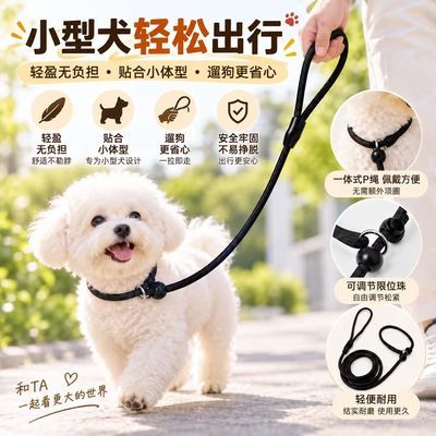 【爆款】P绳专业训犬牵引绳小中型犬防爆冲遛狗绳幼犬宠物狗P链子