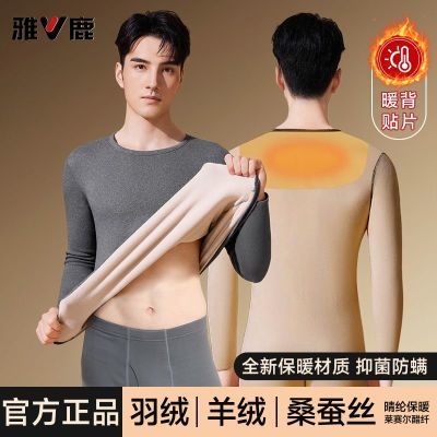 【雅鹿】男士保暖内衣套装羊绒桑蚕丝暖背贴片冬季加绒德贴身秋衣秋裤