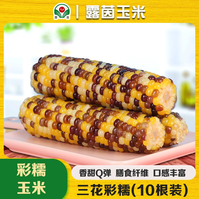 【露茵】露茵新鲜花糯玉米粘嫩彩糯玉米棒早餐真空装非转基因10穗