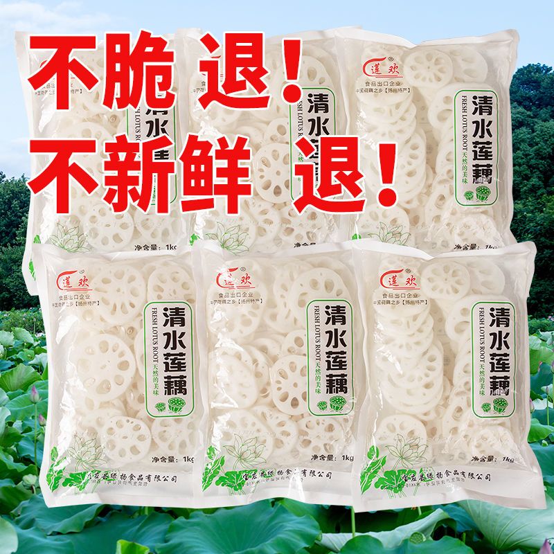 商用清水藕片藕制品新鲜带箱炒菜凉拌菜火锅麻辣烫熟食藕片整箱批