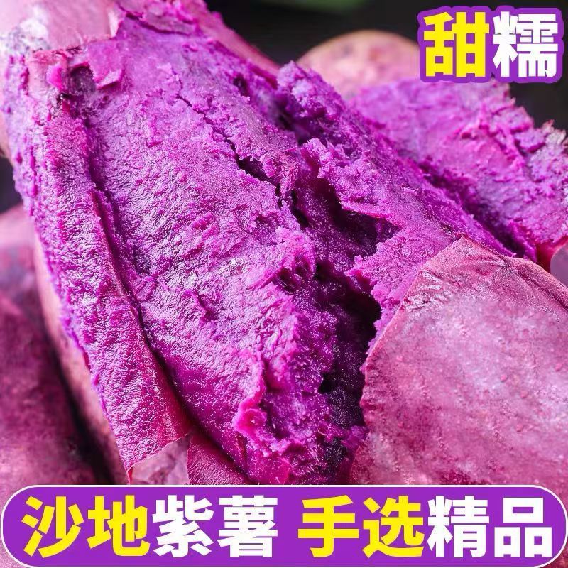 净重8.6斤新鲜紫薯现挖沙地紫红薯软糯香甜紫地瓜板栗蜜薯蔬菜