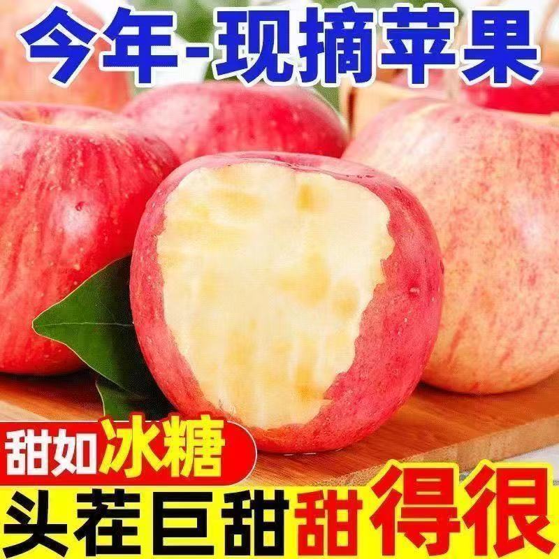【彩箱】冰糖心丑苹果山西膜袋红富士新鲜水果山西苹果脆甜冰糖心