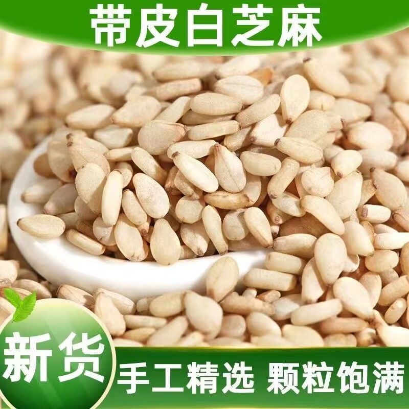 新货带皮生白芝麻芝麻散装干净无沙可榨油农家烘焙商用白芝麻批发