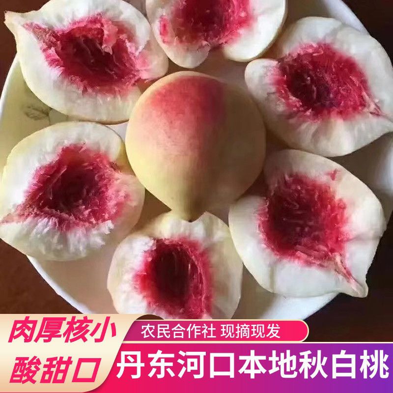 丹东河口秋银离核桃新鲜黑沟大毛桃包邮现摘现发酸甜高档红心当季
