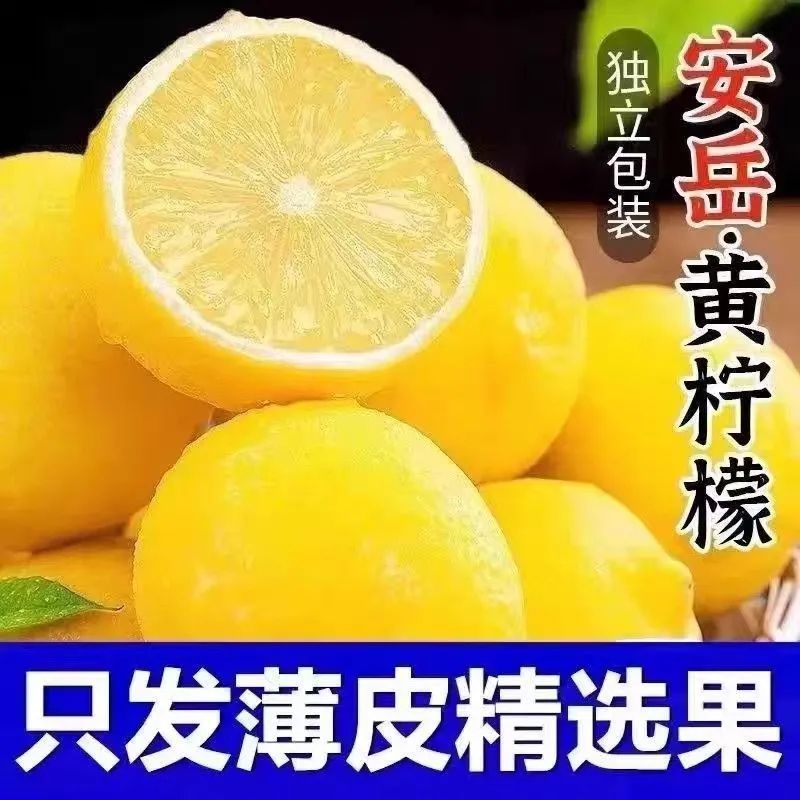 四川安岳黄柠檬新鲜柠檬鲜果应季水果整箱批发薄皮多汁泡水奶茶店