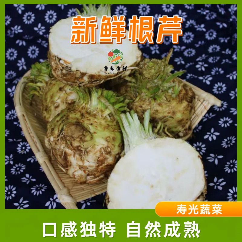 【新鲜采摘】寿光地中海根芹根芹菜西餐特色食材农家种植当季蔬菜