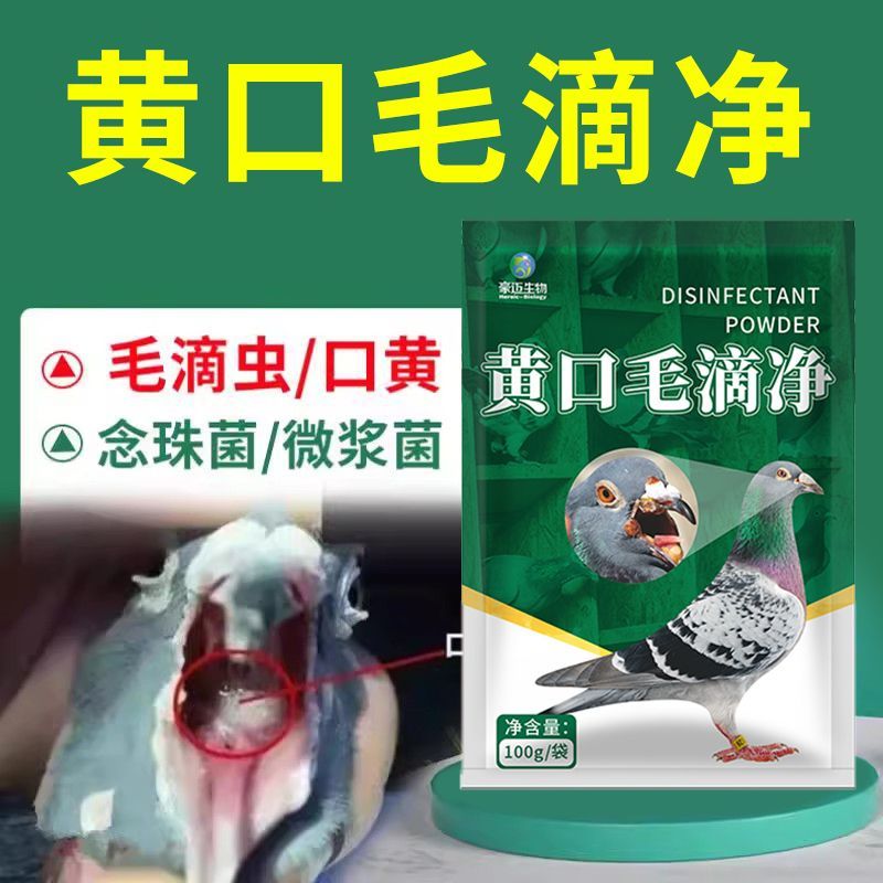 鸽子药赛鸽家鸽用信鸽毛滴虫球虫二合一黄口绿便鸟类口腔清洁大全