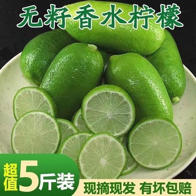 (12个无籽青柠檬)海南品种香水青柠檬青柠檬冷饮水果奶茶店专用