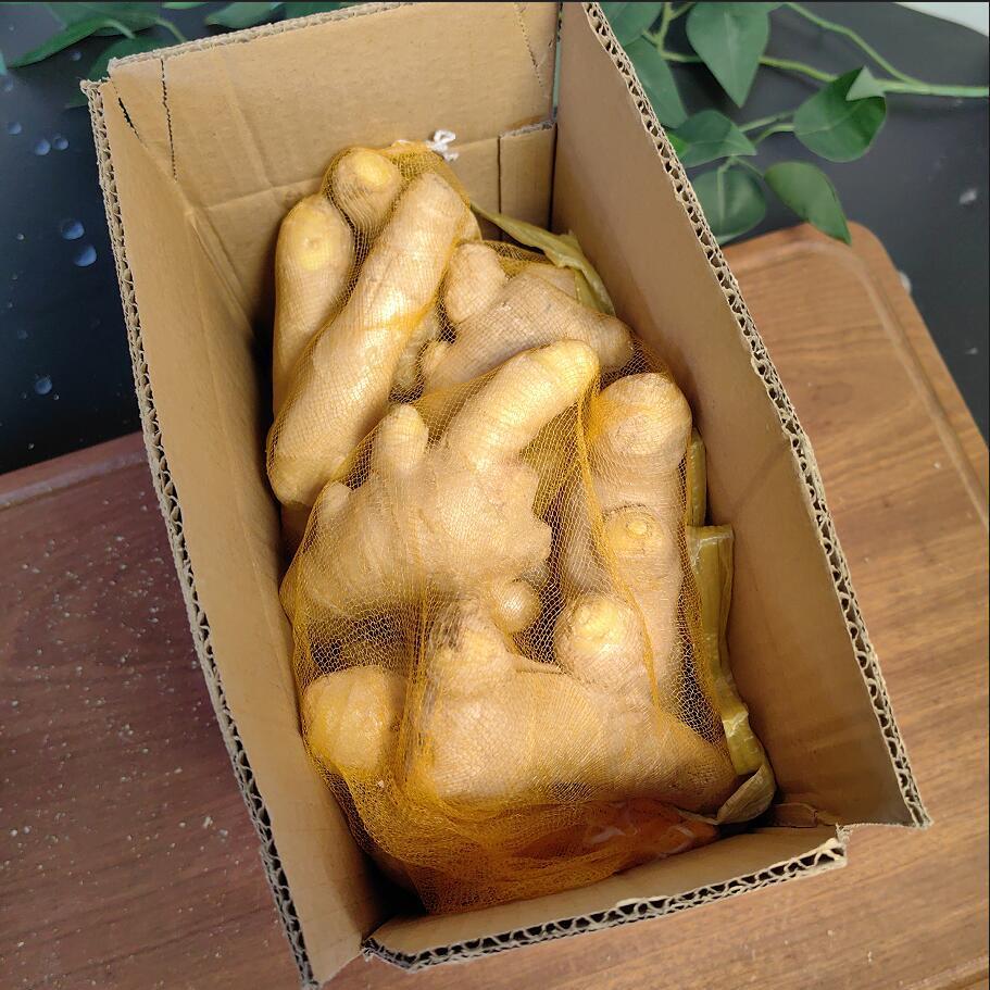 一整箱】山东大姜风干姜单指无泥生姜老姜月子整箱黄姜批发