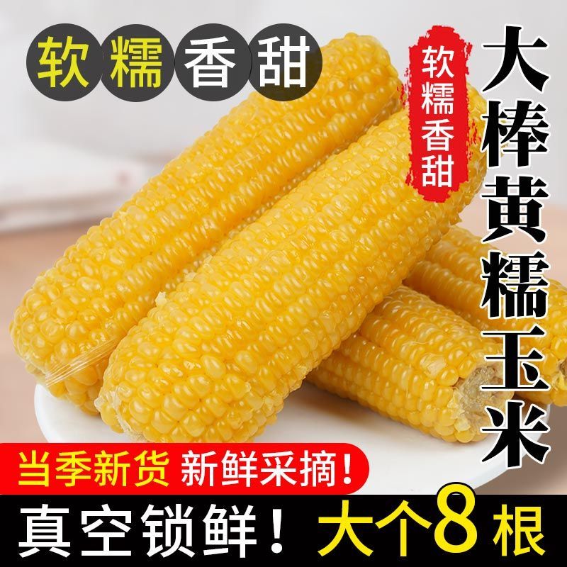 【现货速发】大棒黄糯玉米黄玉米棒真空包装新鲜甜糯粗粮主食批发