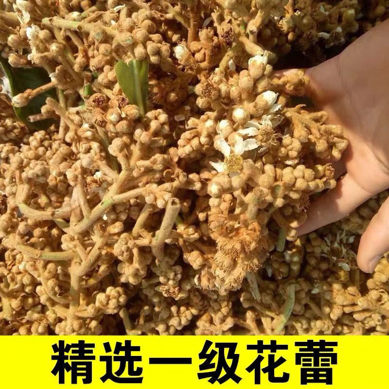 新花枇杷花茶特级散装天然白琵琶花蕾农家自晒优质枇杷花干煲汤料