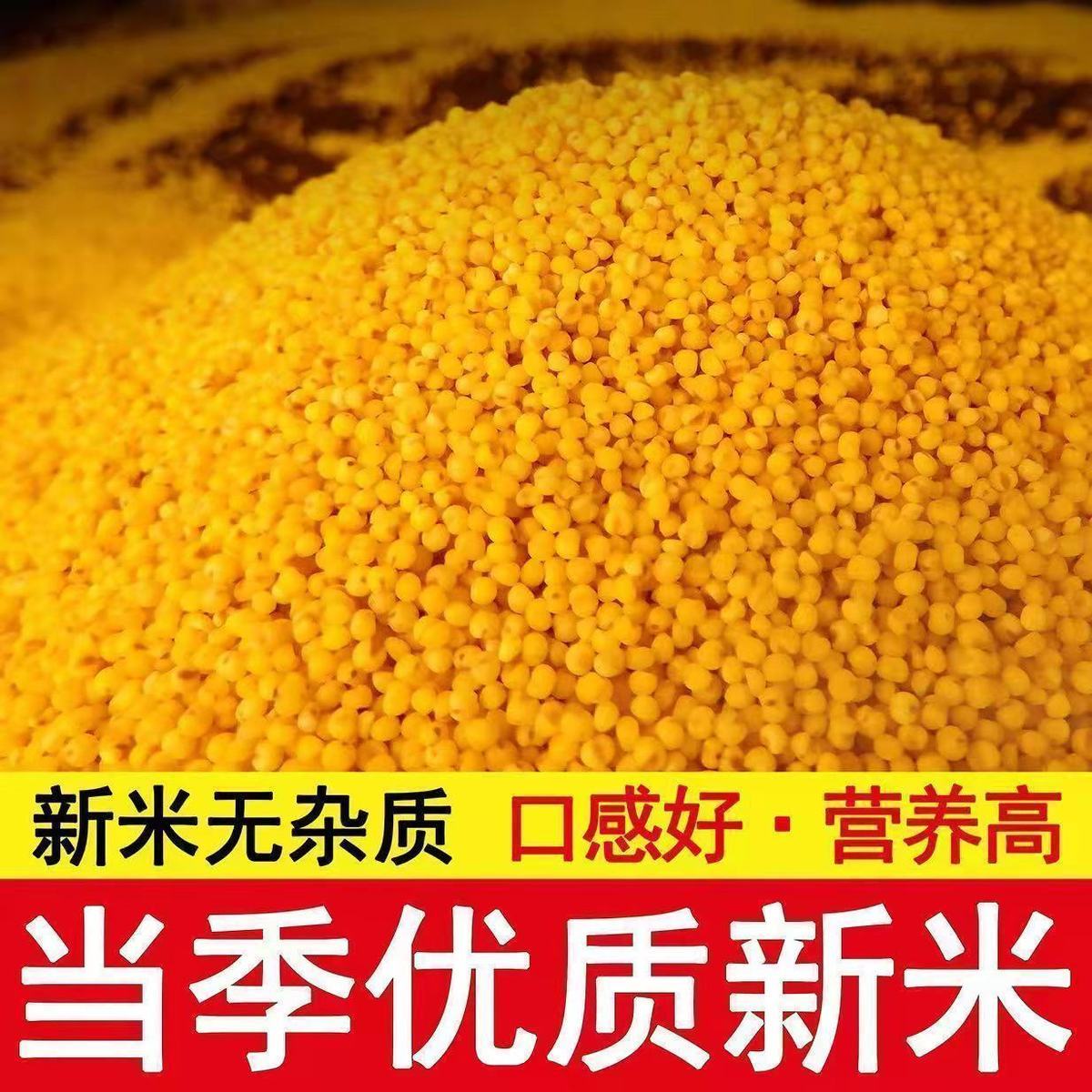 正宗黄小米金苗K1赤峰黄小米月子米小米煮粥小米批发小黄米
