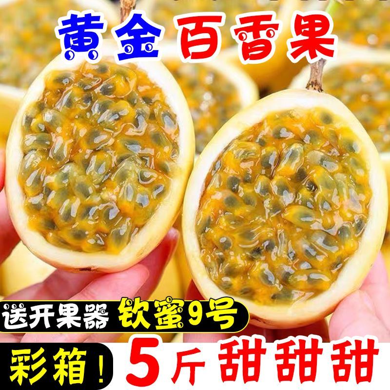 【产地直发】超甜钦蜜9号黄金百香果广西云南海南特大皱皮果批发