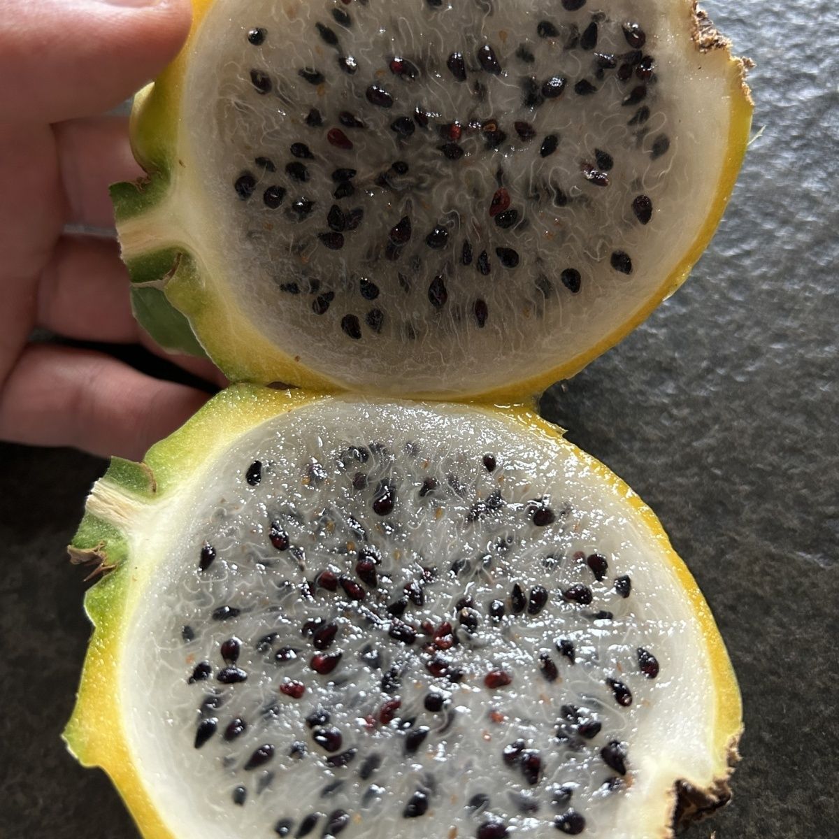 云南麒麟燕窝整箱果大果新鲜水果罕见黄色白心火龙果冰糖甜自然熟