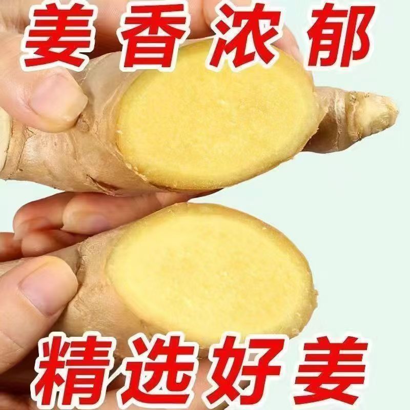 山东正宗干姜水洗优质大块大姜生姜风干黄姜新鲜老姜月子批发姜块
