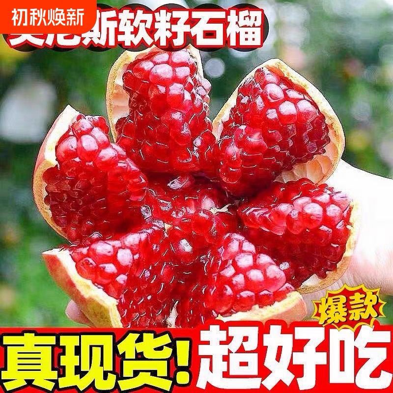 【产地直发】四川会理突尼斯软籽石榴整箱孕妇新鲜水果当季单果