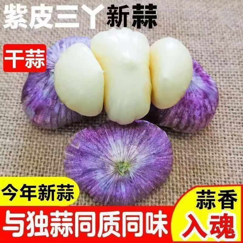 十足干蒜【今年新三瓣蒜】好剥干紫皮三丫蒜大蒜三瓣蒜元宝蒜大蒜