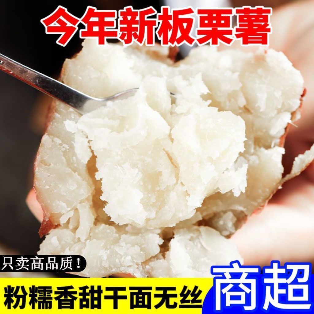 2026新品|许昌地道红皮白心板栗薯粉糯香甜正品现挖干面带泥带皮