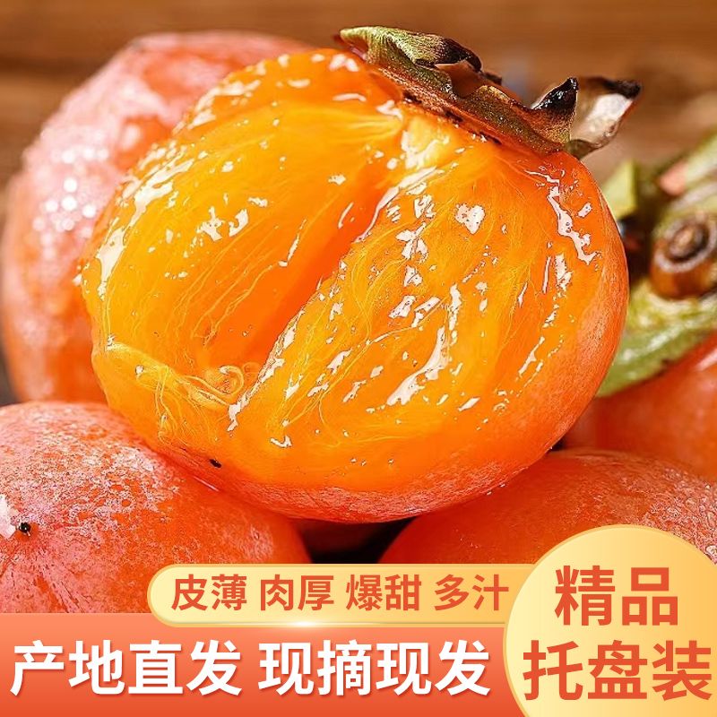 正宗火晶软柿子柿子蜜柿当季整箱新鲜应季流心批发柿子特大果