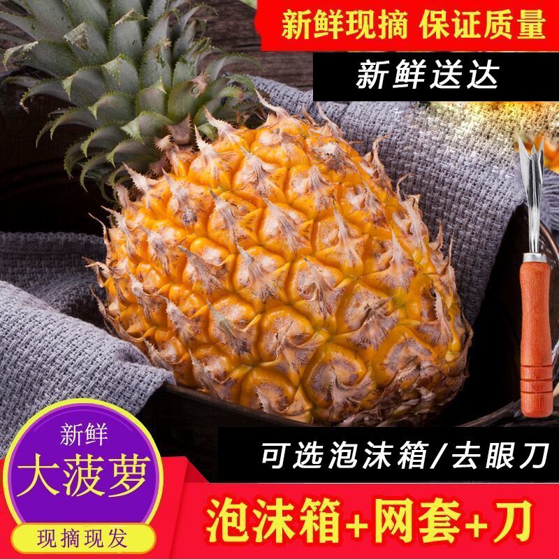 新鲜大菠萝海南菠萝徐闻香水菠萝大果现摘当季大个现摘发热带水果