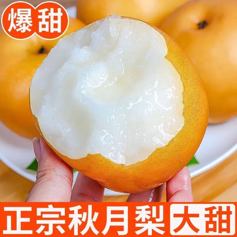 正宗山东莱阳秋月梨新鲜脆甜薄皮超甜大果梨子水果批发整箱