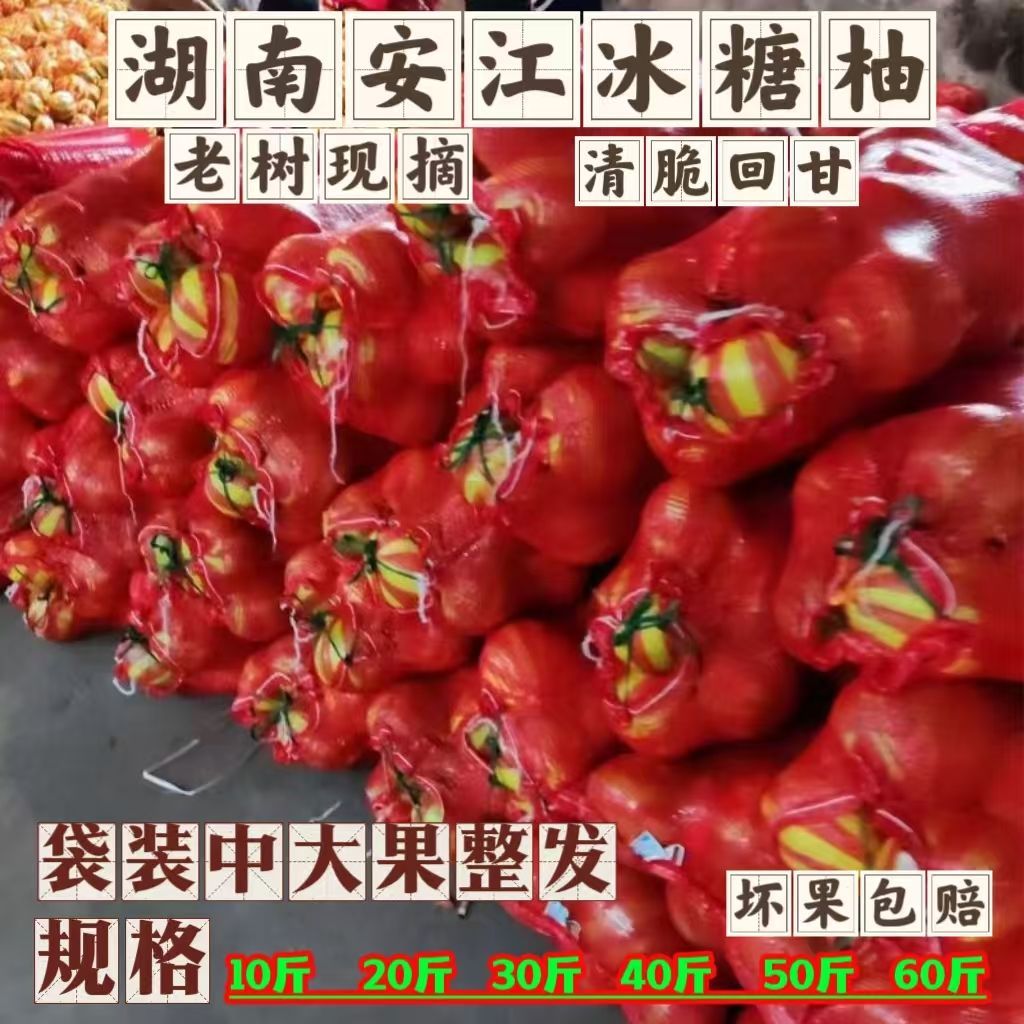 怀化安江香柚冰糖湖南雪峰小苦柚土安福水晶柚子金兰蚕子