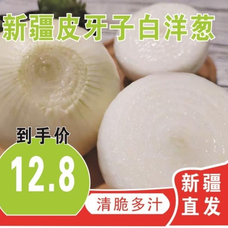 新疆皮牙子白洋葱新鲜蔬菜批发凉拌生吃脆嫩多汁椒麻鸡配料新疆发