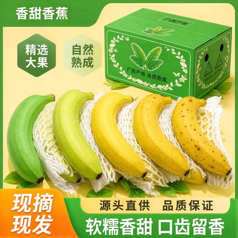 广西高山单根香蕉精选孕妇自然新鲜水果直发薄皮青皮甜糯大果批发