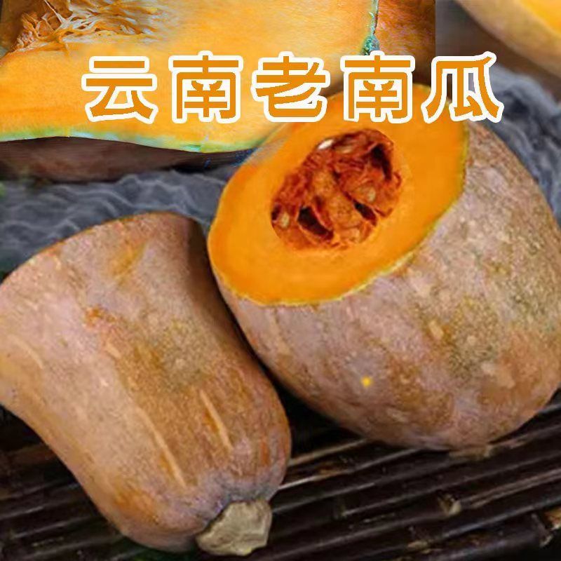 云南正宗老南瓜农家自种当季新鲜粉面甜糯小宝宝辅食蒸煮密本南瓜