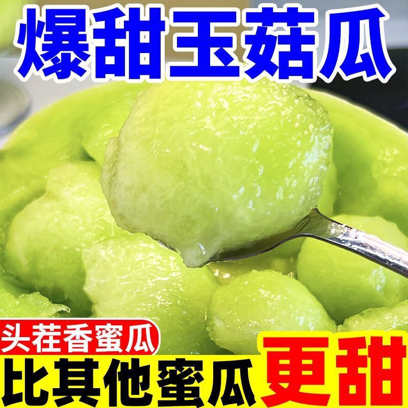【不甜包赔】甘肃沙漠正宗冰淇淋玉菇甜瓜当季新鲜蜜瓜水果哈密瓜