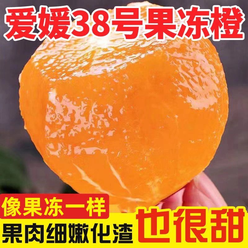 四川爱媛38号果冻橙薄皮手剥橙非冰糖橙新鲜水果