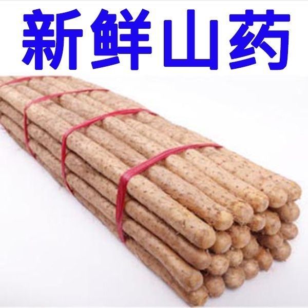 正宗铁棍山药淮山药垆土铁棍山药小白嘴山药河北产地蔬菜直发