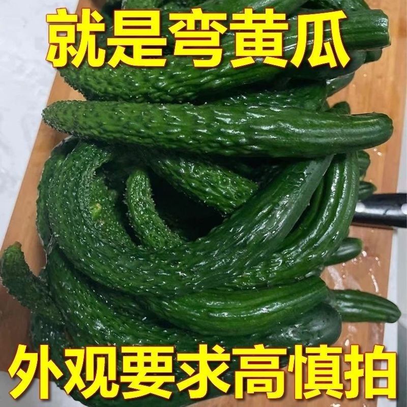 当季弯黄瓜小黄瓜新鲜整箱现摘腌制现嫩青瓜农家专供蔬菜