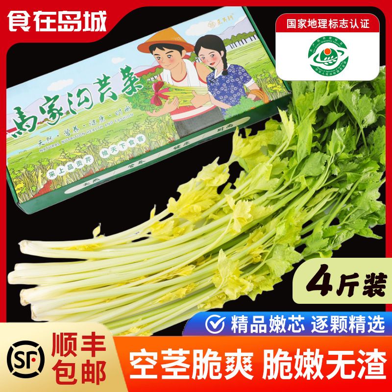 【高品质】马家沟精品芹菜新鲜脆嫩绿色健康现摘现发顺丰包邮上门