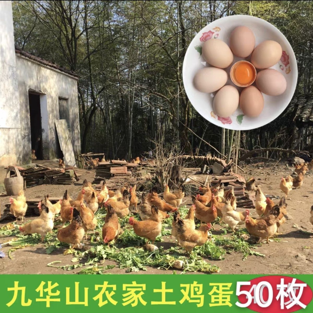 正宗土鸡蛋九华山农家散养新鲜纯农村自养天然草鸡蛋50枚顺丰包邮