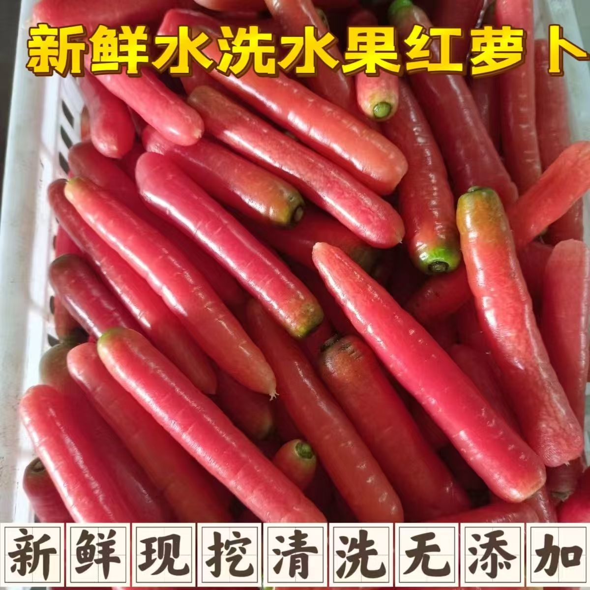 水洗迷你红萝卜脆甜爽口新鲜无添加健康营养丰富天然食材整箱批发